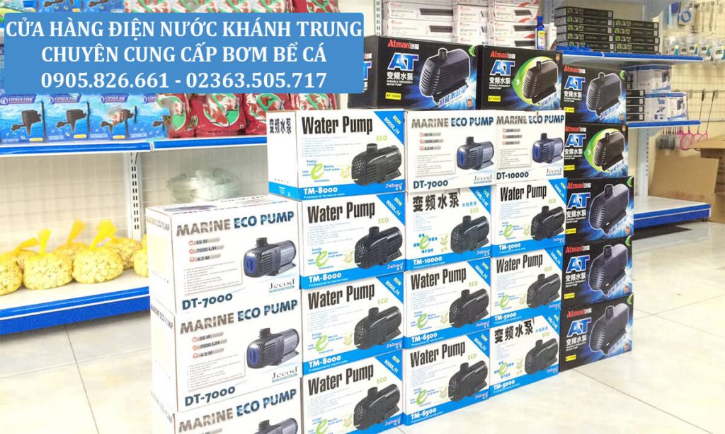 bom be ca da nang